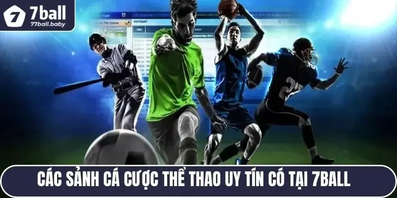 Các sảnh cá cược thể thao uy tín có tại 7BALL